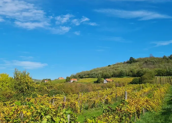 Pop Tiny House Balaton